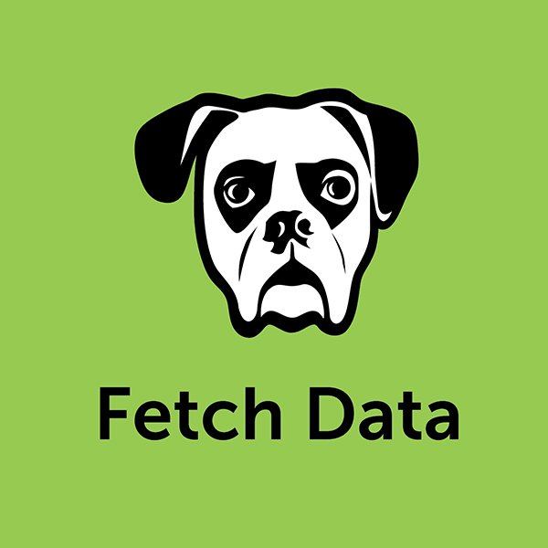 vortex-miami-brand-design-fetch-data