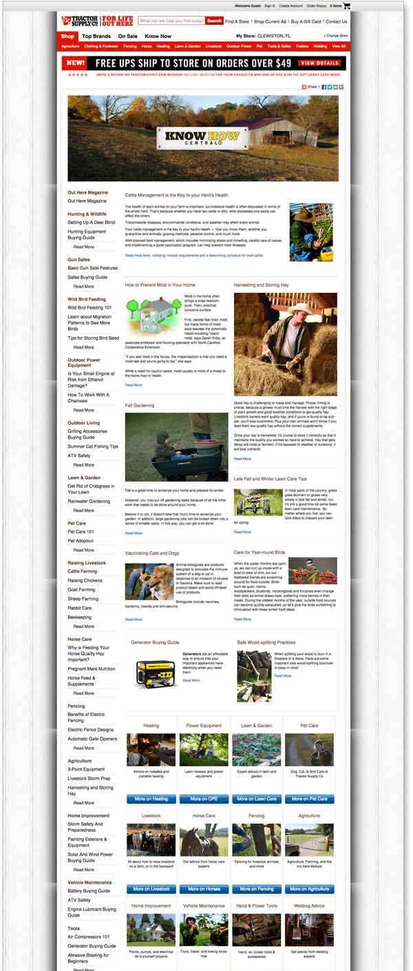 vortex-graphic-web-design-miami-tips-2